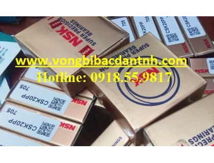 VÒNG B-1 CHIỀU-CSK20  - NSK